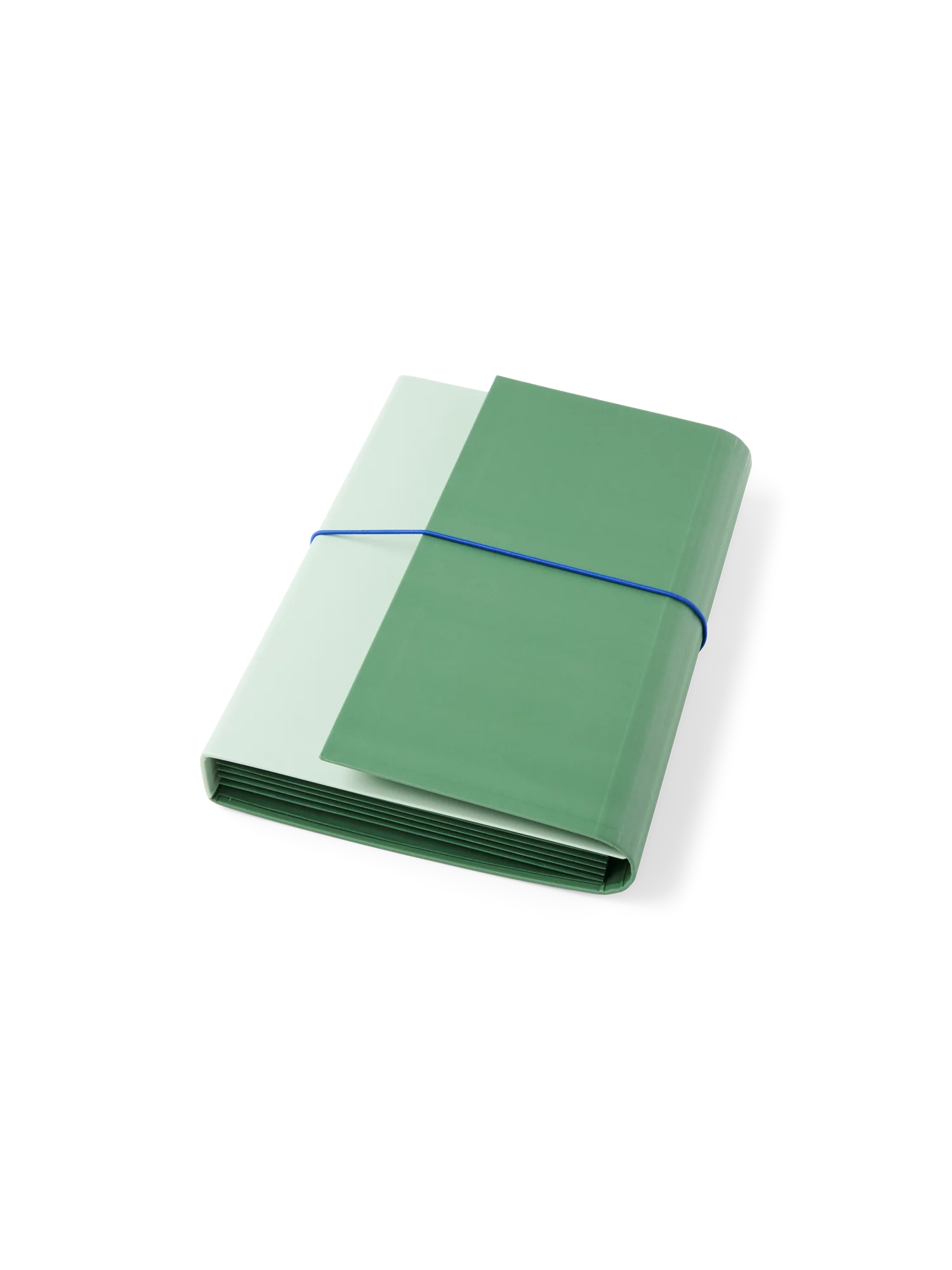 Thumb 5